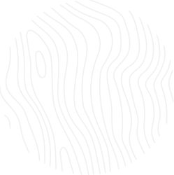 Pantone Graphic Design